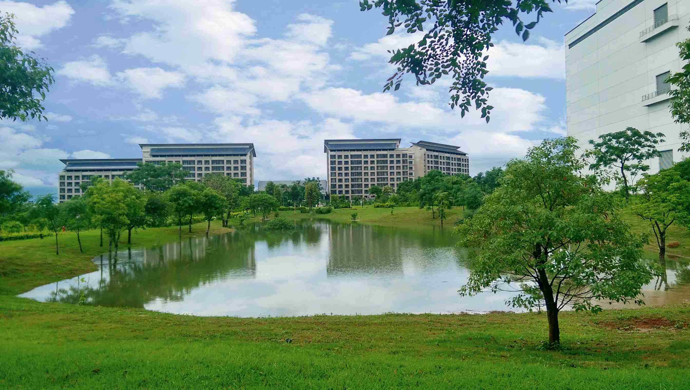 传奇国际响应国际倡议生物多样性趋势，，首次发布TNFD自然相关财务揭露报告书，，，，擘划及开展传奇国际生物多样性政策之承诺，，，，逐步迈向与自然和谐共生
